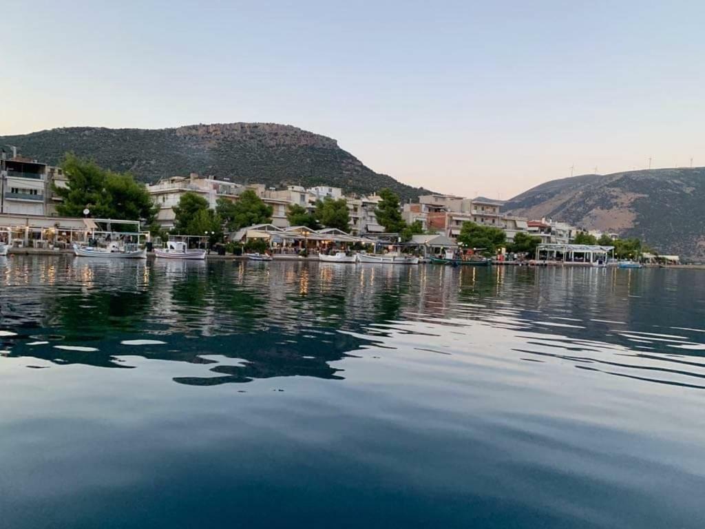 Porto Arimar Hotel Antikyra Exterior photo